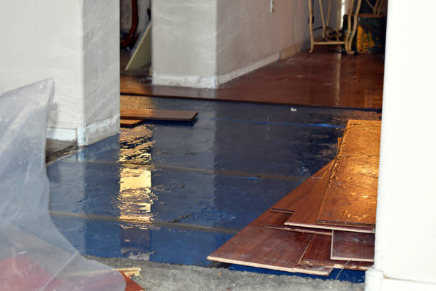 Professional Basement Water Removal technician working in Rochester, IL